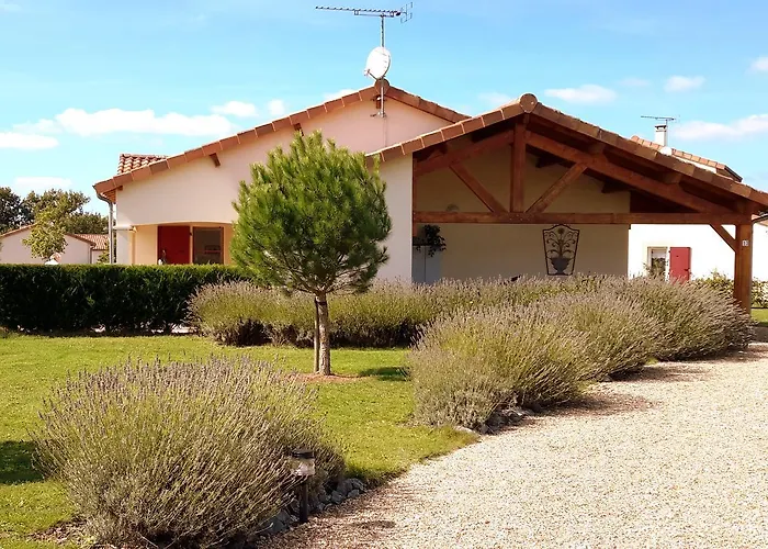 Francecomfort - L'aveneau Vieille Vigne * Les Forges (Deux-Sevres)